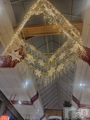 Įʥå륺СLUAR(륢) 124ֺ̥֥ϡ