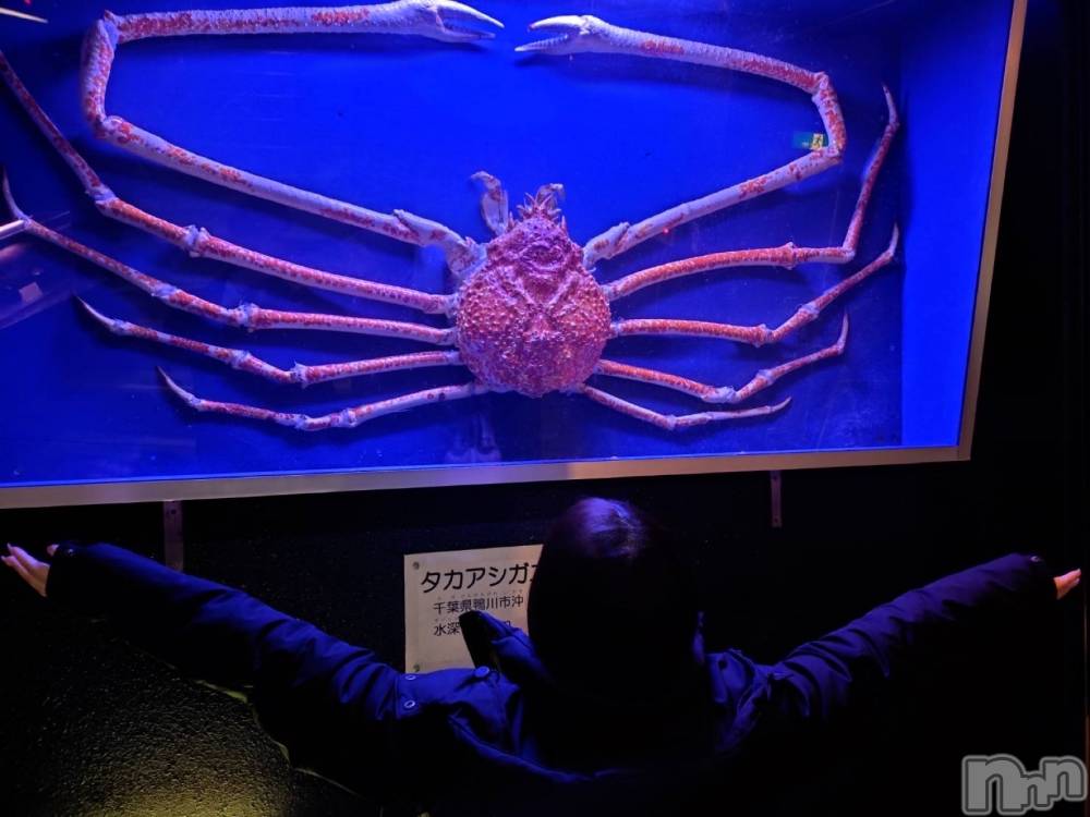 ��Į���ʥå��������륺�С�LUAR(�륢����) �ᤤ��4��9���̥�֥����֥��ˤȾ��餷����