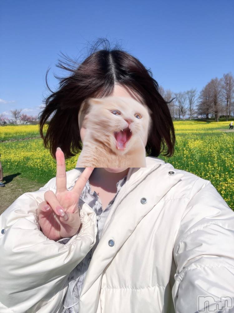 ��Į���ʥå��������륺�С�LUAR(�륢����) �ᤤ��4��11���̥�֥����֤�ꡪ��������