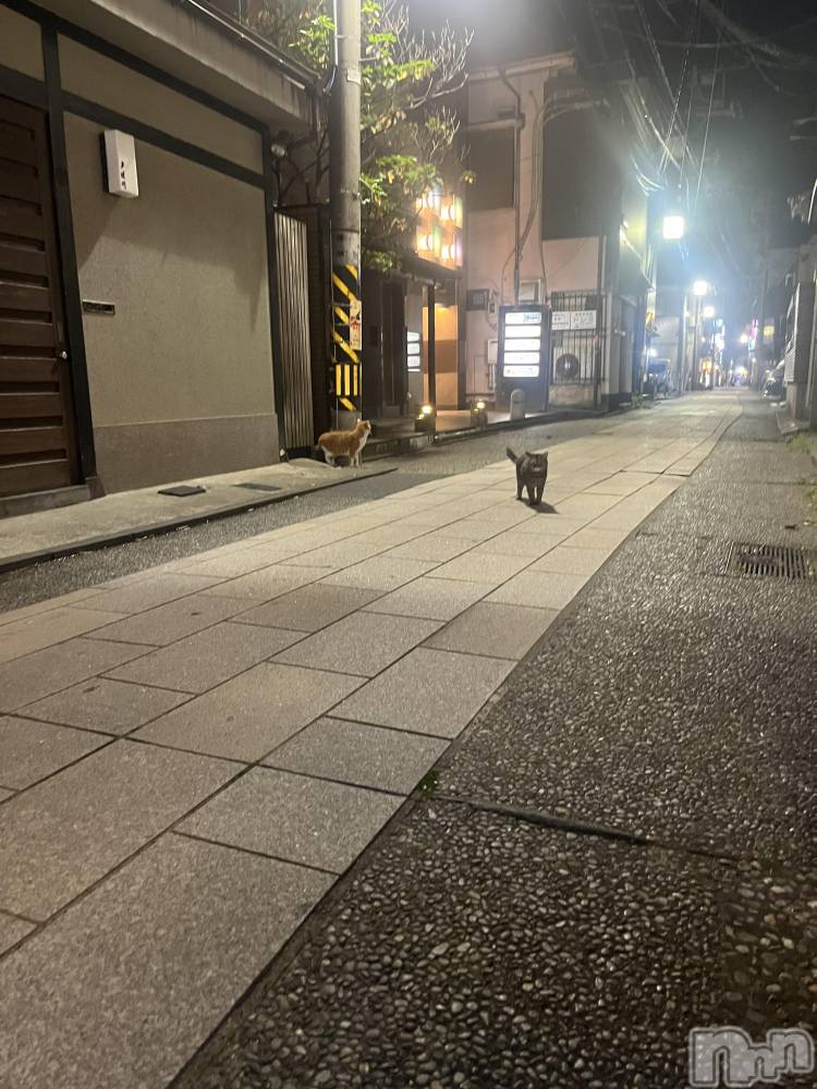 ��Į���ʥå��������륺�С�LUAR(�륢����) �ᤤ��5��31���̥�֥����֤̤���