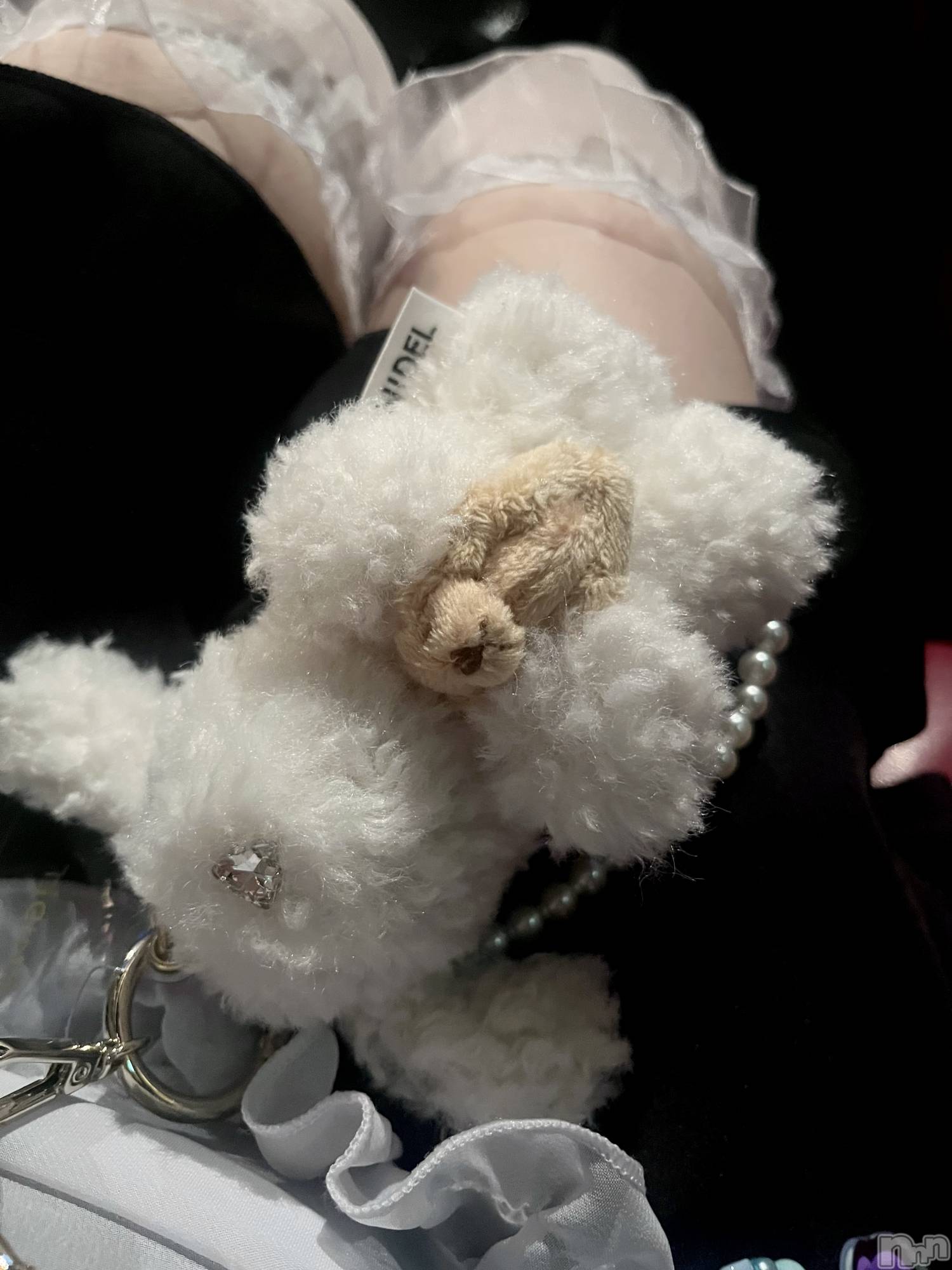 ��Į���ʥå��������륺�С�LUAR(�륢����) ��2025ǯ12��15���̥�֥����֤���ͤ󤹤�����