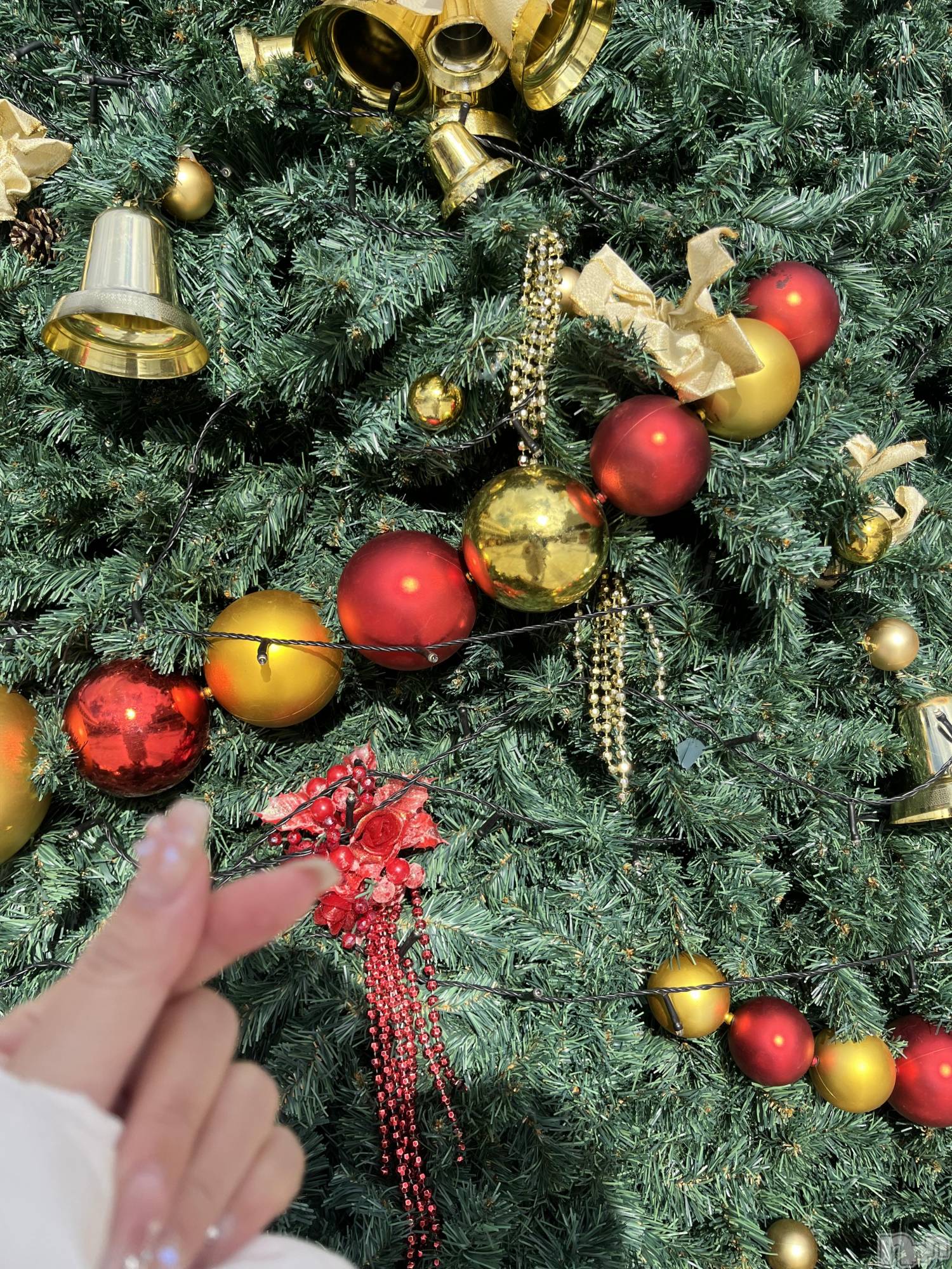 ��Į���ʥå��������륺�С�LUAR(�륢����) ��2025ǯ12��18���̥�֥����֤�֤�����