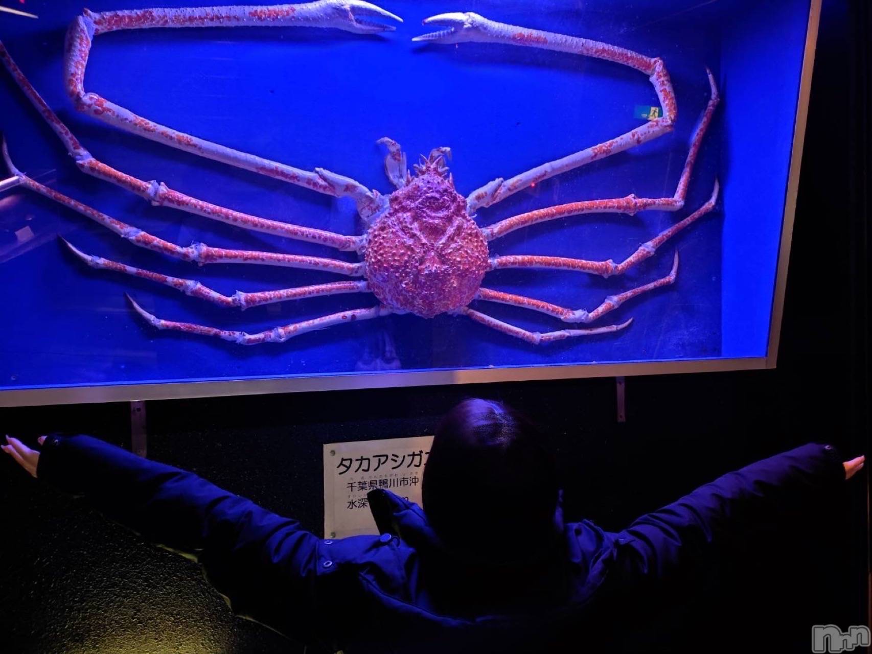 ��Į���ʥå��������륺�С�LUAR(�륢����) ��2026ǯ4��9���̥�֥����֥��ˤȾ��餷����