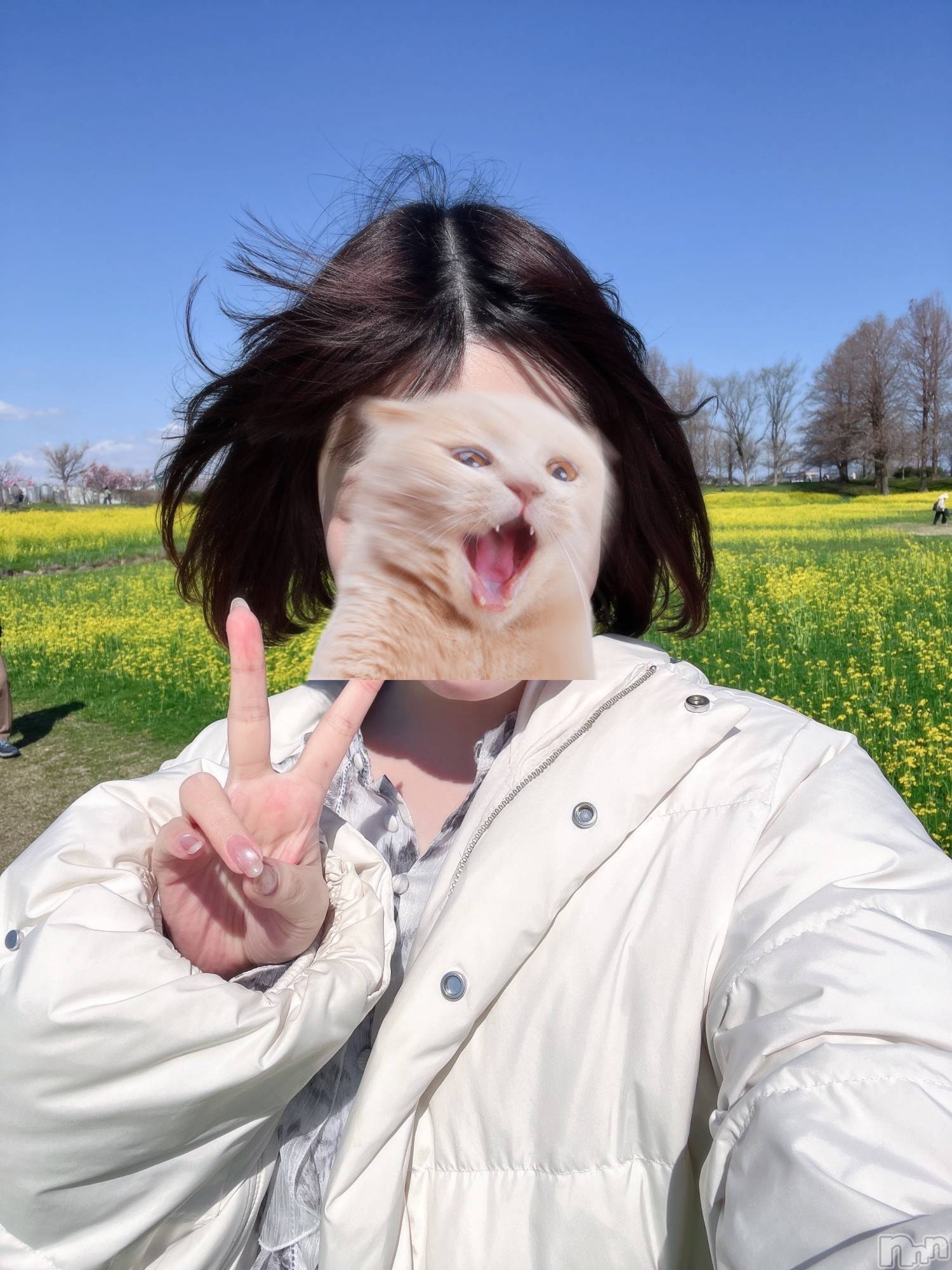 ��Į���ʥå��������륺�С�LUAR(�륢����) ��2026ǯ4��11���̥�֥����֤�ꡪ��������