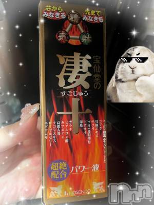 Įʥå륺СLUAR(륢) ᤤ1210̥֥Ĥ