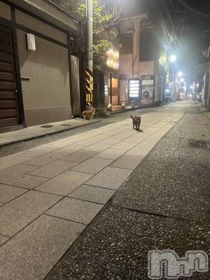 ��Į���ʥå��������륺�С�LUAR(�륢����) �ᤤ��5��31���̥�֥����֤̤���