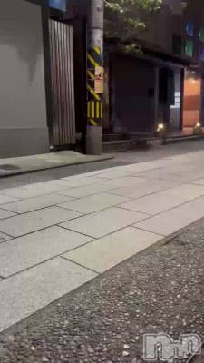 ������🐱