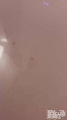 ���ӥϡ���