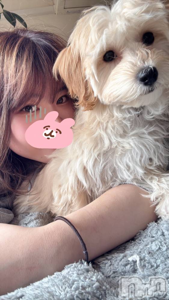 ��Į���ʥå��������륺�С�LUAR(�륢����) �ʤʤ���3��18���̥�֥����֤��������������