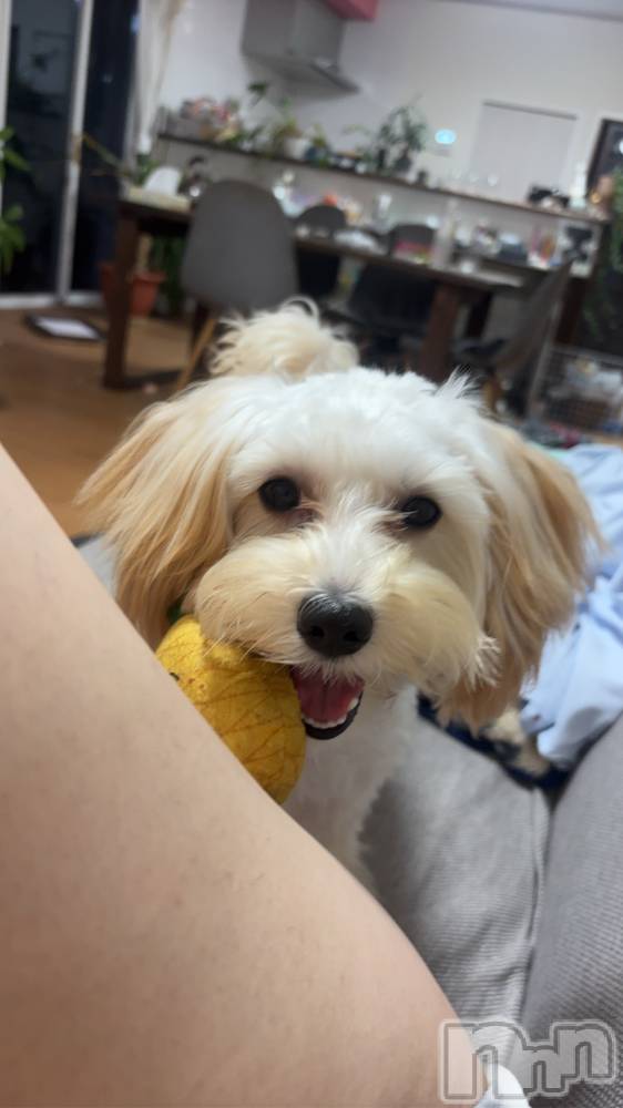 ��Į���ʥå��������륺�С�LUAR(�륢����) �ʤʤ���7��14���̥�֥����֤��襤�������ΰ�������💕��
