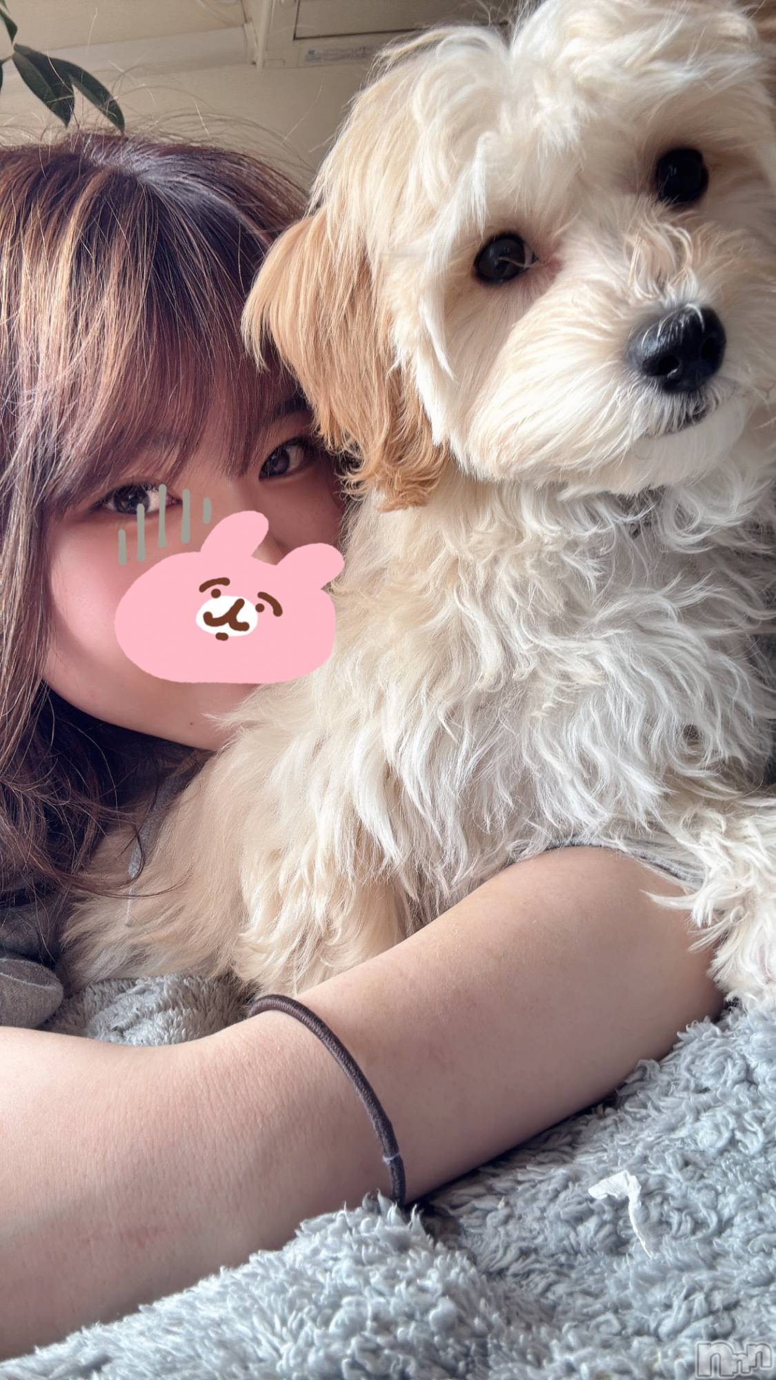 ��Į���ʥå��������륺�С�LUAR(�륢����) ��2026ǯ3��18���̥�֥����֤��������������