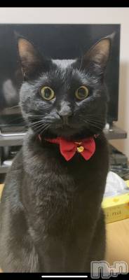 Įʥå륺СLUAR(륢) ʤʤ(20)1211ְ̥֥ǭΤ🐱