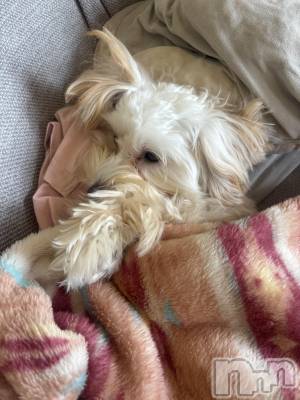 ��Į���ʥå��������륺�С�LUAR(�륢����) �ʤʤ�(20)��7��22���̥�֥����ְ��˿���💕��