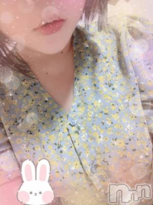 新潟デリヘル 熟女の風俗 最終章(ジュクジョノフウゾクサイシュウショウ) あかり(30)の2月11日写メブログ「待機☺️」