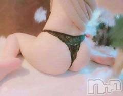 新潟デリヘル新潟人妻デリバリーヘルス 下心 ～したごころ～(シタゴコロ) 三井(みつい)奥様(43)の8月7日写メブログ「ぬるぬる ローションプレイかな」