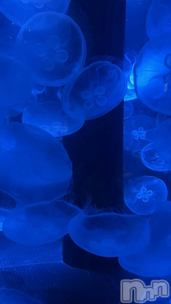 ��Į���ʥå��������륺�С�concept bar Citron(���󥻥ץȥС����ȥ���) �����2��19���̥�֥����֥���ե�λ��˸���̴��