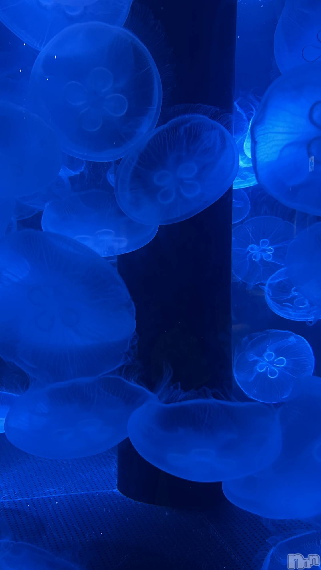 ��Į���ʥå��������륺�С�concept bar Citron(���󥻥ץȥС����ȥ���) ��2026ǯ2��19���̥�֥����֥���ե�λ��˸���̴��