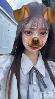 ��Į���ʥå��������륺�С�concept bar Citron(���󥻥ץȥС����ȥ���) ����(22)��1��7���̥�֥������˲�Ū������¤��