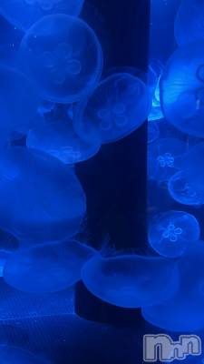 ��Į���ʥå��������륺�С�concept bar Citron(���󥻥ץȥС����ȥ���) ����(22)��2��19���̥�֥����֥���ե�λ��˸���̴��