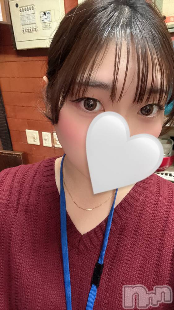 ����������ʥå��������륺�С������륺�С� �ӥ���٥˥塼(�����륺�С��ӥ���٥˥塼) �ʤʤۤ�1��6���̥�֥����ִ���🥶��