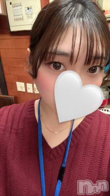 ����������ʥå��������륺�С������륺�С� �ӥ���٥˥塼(�����륺�С��ӥ���٥˥塼) �ʤʤۤ�1��6���̥�֥����ִ���🥶��