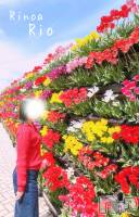 ぽかぽかな日🥰