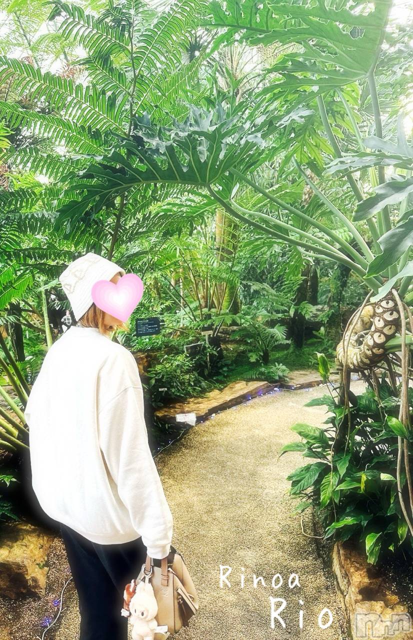 新潟メンズエステRinoa(リノア)小日向 りおの2026年2月10日写メブログ「露出はしません🤬🔞」