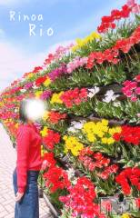 新潟メンズエステRinoa(リノア) 小日向 りおの4月21日写メブログ「ぽかぽかな日🥰」