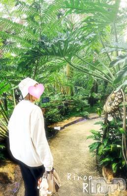 新潟メンズエステ Rinoa(リノア) 小日向 りお(ヒミツ)の2月10日写メブログ「露出はしません🤬🔞」