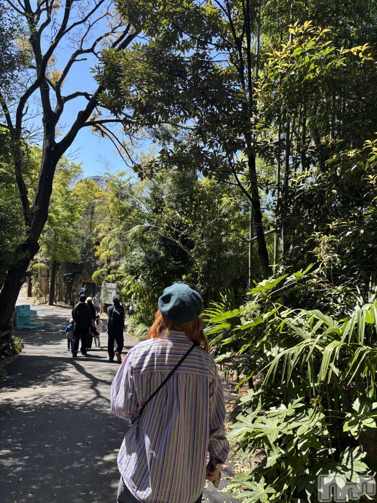 ����������ʥå��������륺�С����饪���ϥ��ܡ���bar���ͻ���(���饪���ϥ��ܡ���С��ӥ��󥷥ޥ�) �Ҥʤ�4��2���̥�֥�����🐯🐻🐵🐘��