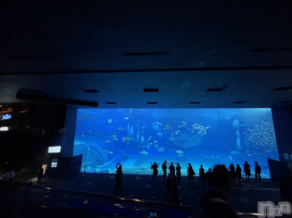 ����������ʥå��������륺�С����饪���ϥ��ܡ���bar���ͻ���(���饪���ϥ��ܡ���С��ӥ��󥷥ޥ�) �Ҥʤ�8��23���̥�֥��������鳤��²��🐬🐟🐠��
