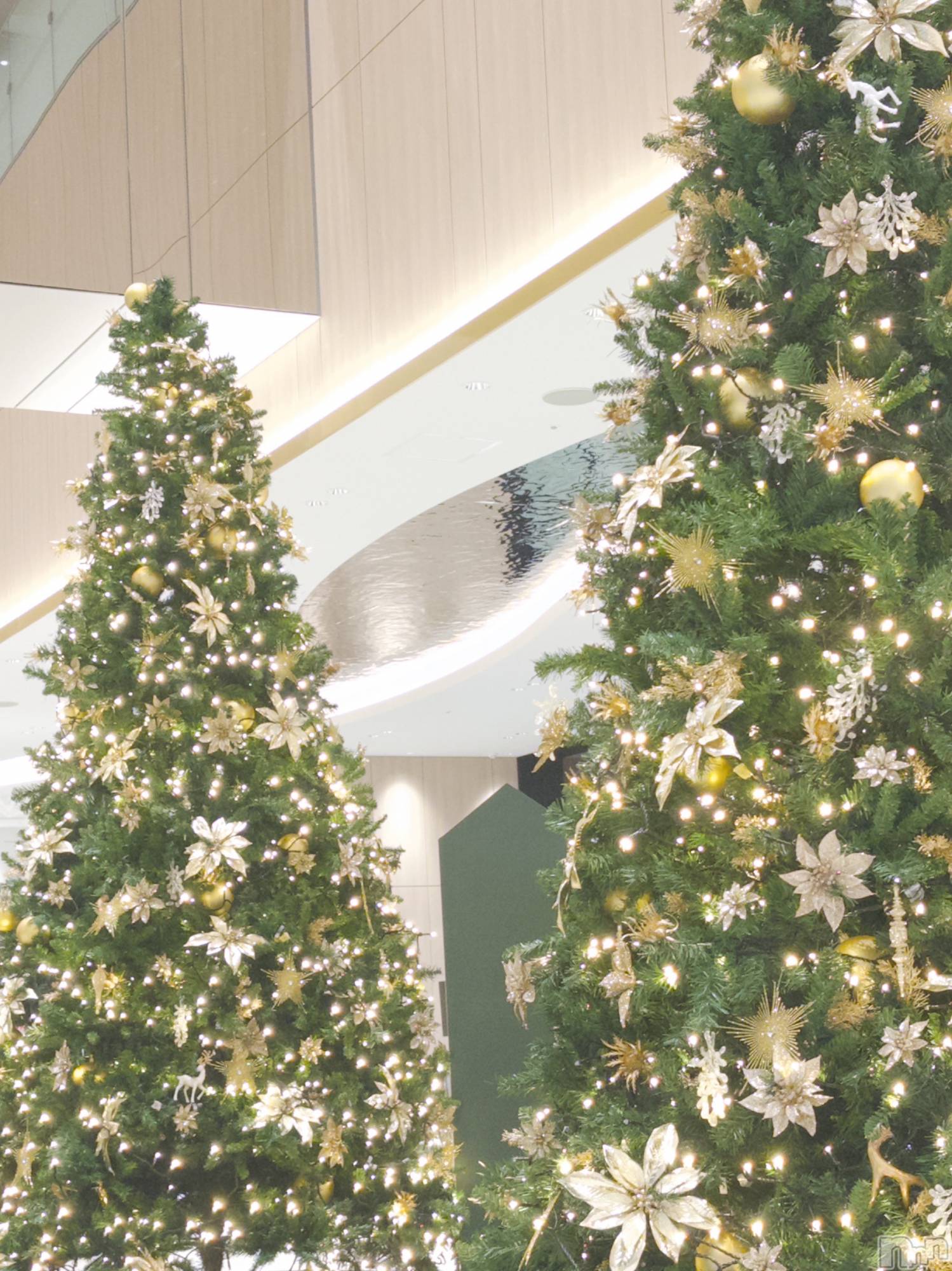 ����������ʥå��������륺�С����饪���ϥ��ܡ���bar���ͻ���(���饪���ϥ��ܡ���С��ӥ��󥷥ޥ�) ��2025ǯ12��27���̥�֥�����12��27�� 17��42ʬ�Υ֥�����