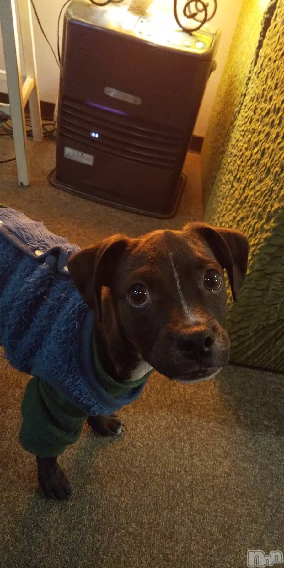 ����������ʥå��������륺�С����饪���ϥ��ܡ���bar���ͻ���(���饪���ϥ��ܡ���С��ӥ��󥷥ޥ�) ��2026ǯ1��25���̥�֥�����🐶��