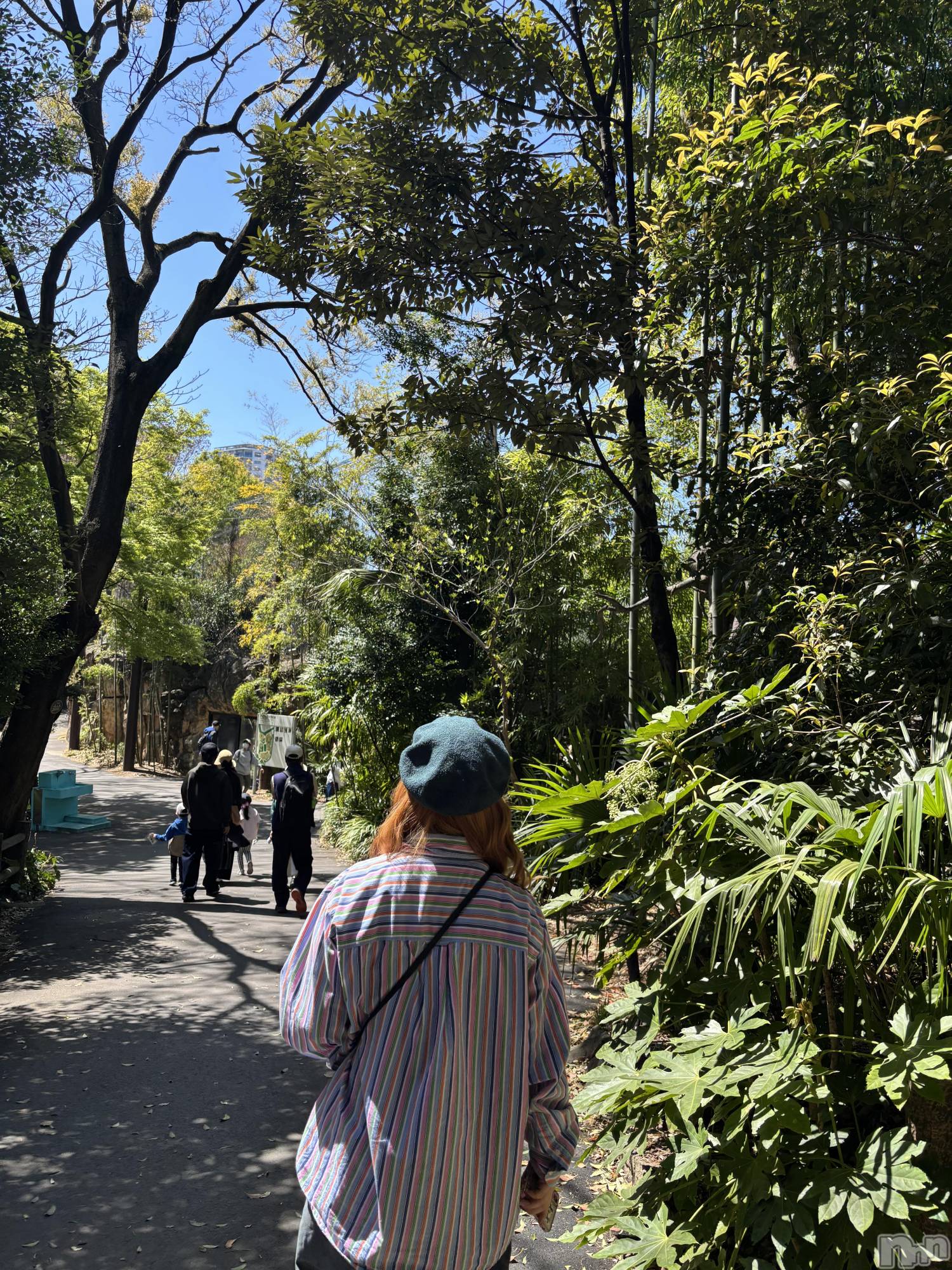 ����������ʥå��������륺�С����饪���ϥ��ܡ���bar���ͻ���(���饪���ϥ��ܡ���С��ӥ��󥷥ޥ�) ��2026ǯ4��2���̥�֥�����🐯🐻🐵🐘��