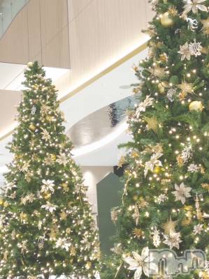 ����������ʥå��������륺�С����饪���ϥ��ܡ���bar���ͻ���(���饪���ϥ��ܡ���С��ӥ��󥷥ޥ�) �Ҥʤ�12��27���̥�֥�����12��27�� 17��42ʬ�Υ֥�����