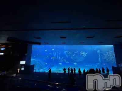 ����������ʥå��������륺�С����饪���ϥ��ܡ���bar���ͻ���(���饪���ϥ��ܡ���С��ӥ��󥷥ޥ�) �Ҥ�(21)��8��23���̥�֥��������鳤��²��🐬🐟🐠��