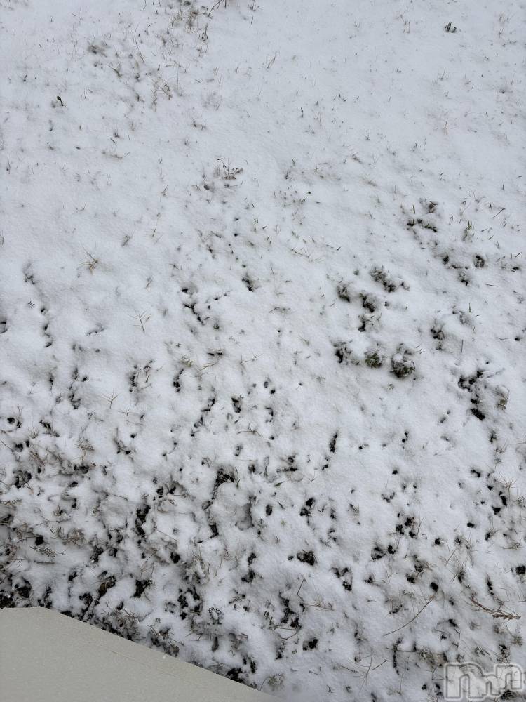 ����ȯ����ѥ˥��󥯥�ֿ��㥳��ѥ˥��󥯥�ֲ���(�˥���������ѥ˥��󥯥�֥ϥʥ�) ������1��20���̥�֥����֤��Ϥ褦�������ޤ�☃️��