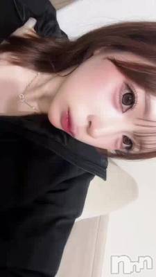 ��~ 🌸🌷🐝