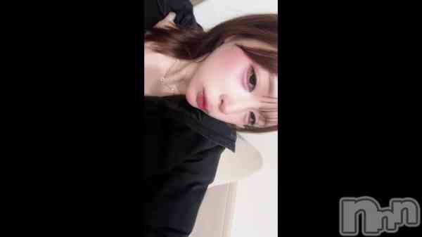 �ֽ�~ 🌸🌷🐝��