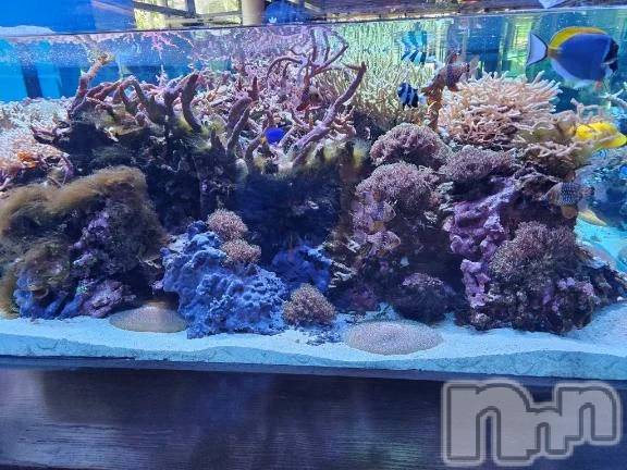 新潟デリヘル新潟市鳥屋野潟ちゃんこ(ニイガタシトヤノガタチャンコ)ひなた(33)の2025年12月8日写メブログ「ありがとうございました✨」