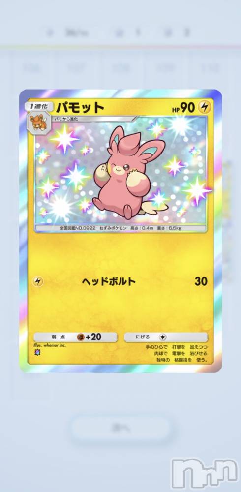 ��Į����Х��顦����֥���� �ץ���� ����(����� �ץ���� ������) �̡��ῥ��3��5���̥�֥�����🐻��