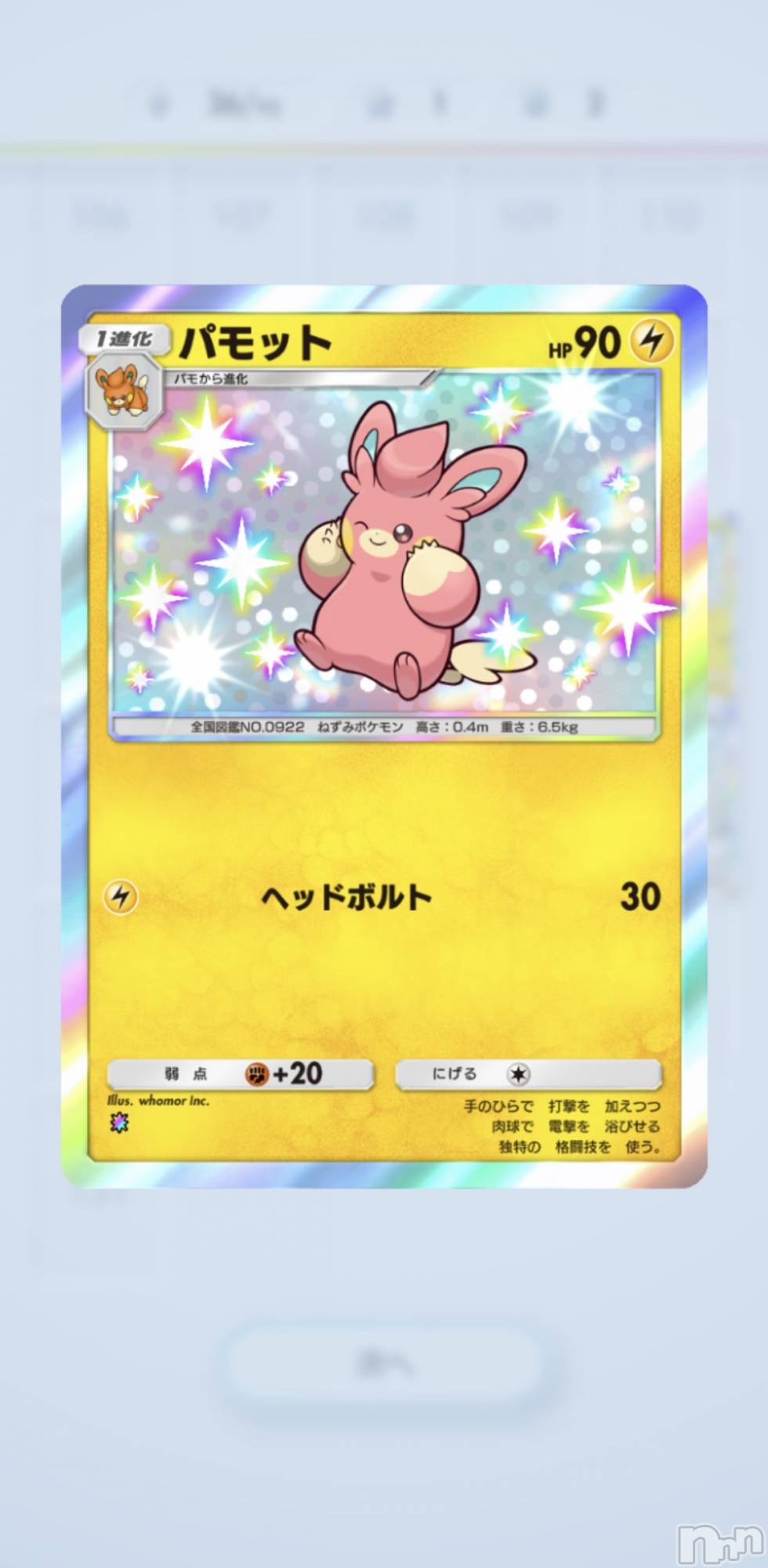 ��Į����Х��顦����֥���� �ץ���� ����(����� �ץ���� ������) ��2026ǯ3��5���̥�֥�����🐻��