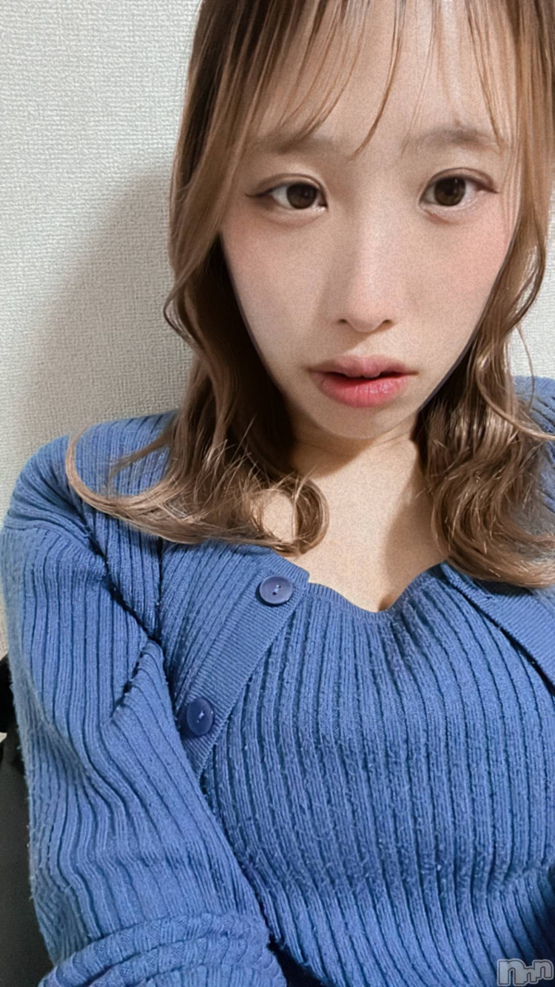 ��Į����Х��顦����֥���� �ץ���� ����(����� �ץ���� ������) ��2026ǯ3��13���̥�֥�����😎��