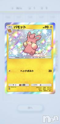 ��Į����Х��顦����֥���� �ץ���� ����(����� �ץ���� ������) �̡��ῥ��3��5���̥�֥�����🐻��