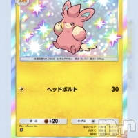 ��Į����Х��顦����� ����� �ץ���� ����(����� �ץ���� ������) �̡��ῥ��3��5���̥�֥�����🐻��