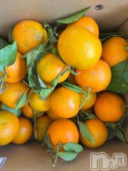 長岡デリヘルROOKIE(ルーキー) くくり☆プラチナ(27)の12月31日写メブログ「良いお年をお迎えください⛩️🌅」