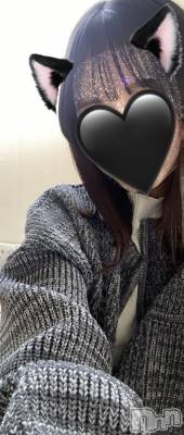 ˤ륹ʥå륺СROYAL ONE()פΥ㥹ȡ֤פξҲ