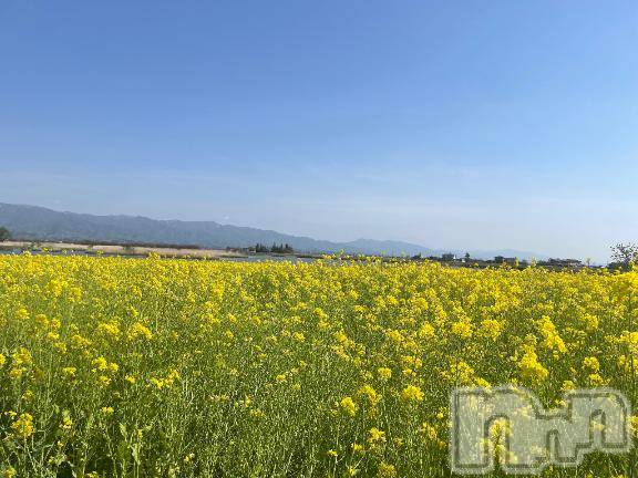 新潟デリヘル人妻不倫処　桃屋　新潟店(ヒトヅマフリンドコロモモヤ) みお・新人奥様(37)の2月11日写メブログ「私の好きな…」