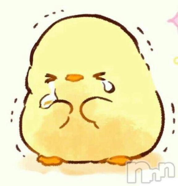 新潟デリヘル人妻不倫処　桃屋　新潟店(ヒトヅマフリンドコロモモヤ)みお・新人奥様(37)の2026年1月31日写メブログ「今日もごめんなさい」