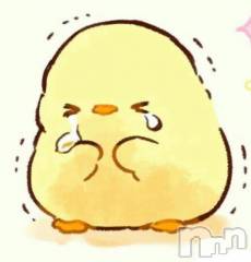 新潟デリヘル人妻不倫処　桃屋　新潟店(ヒトヅマフリンドコロモモヤ) みお・新人奥様(37)の1月31日写メブログ「今日もごめんなさい」